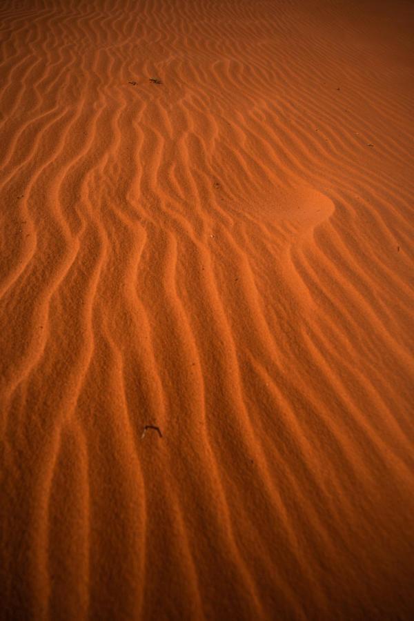 Stars Life Camp-Tour Hotel Wadi Rum Bagian luar foto