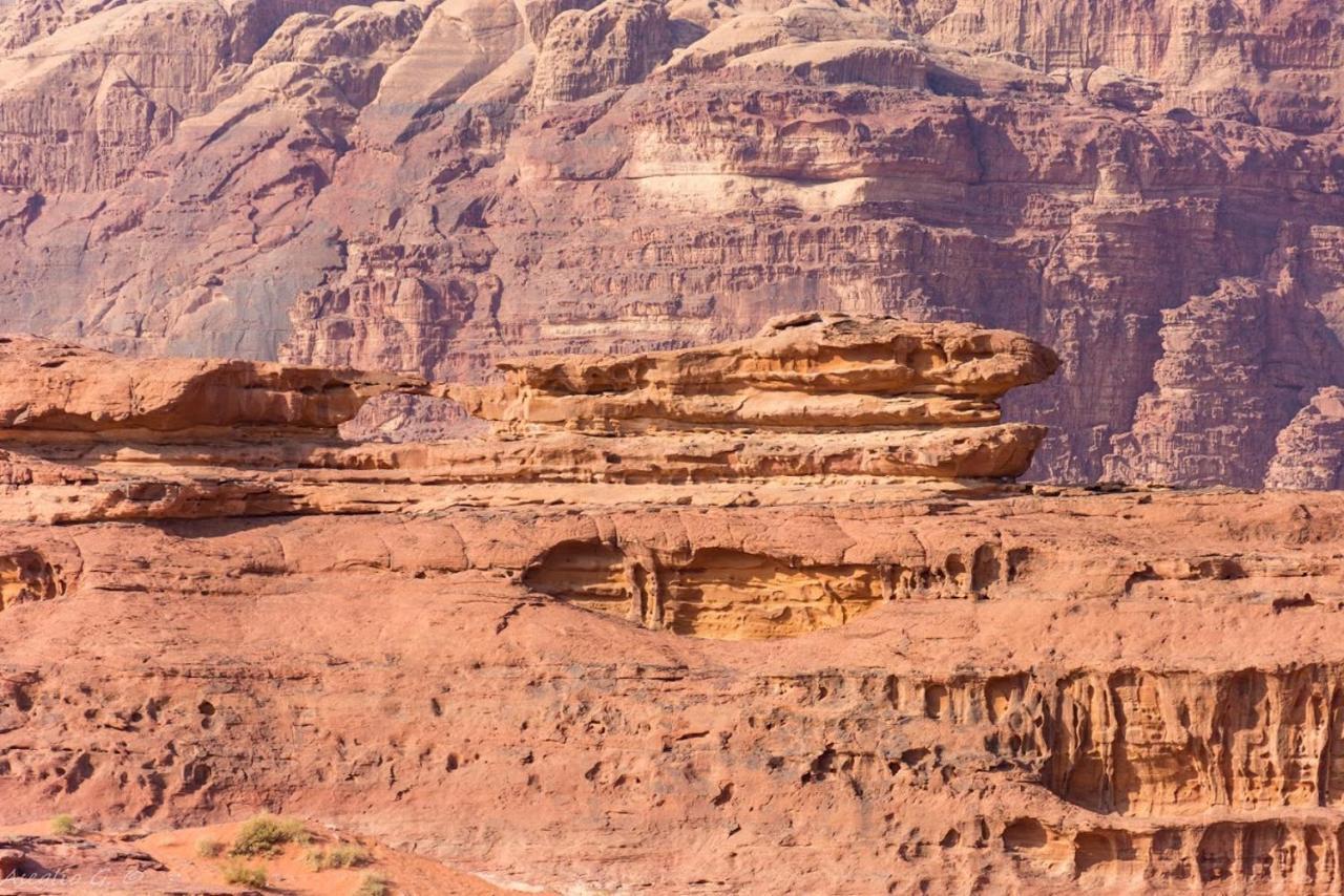 Stars Life Camp-Tour Hotel Wadi Rum Bagian luar foto
